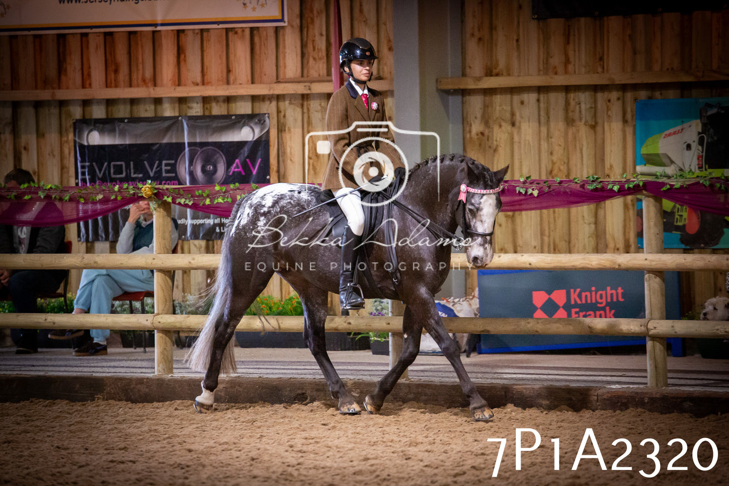 JHOYS 2025 - Ridden Showing - 28th September - pt2