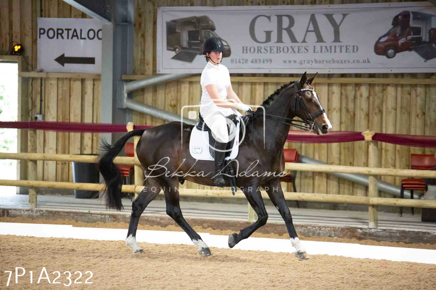 JHOYS 2023 - 6th September - Dressage