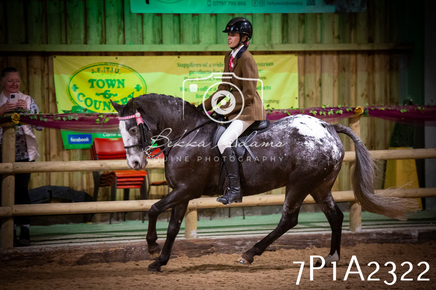 JHOYS 2025 - Ridden Showing - 28th September - pt2