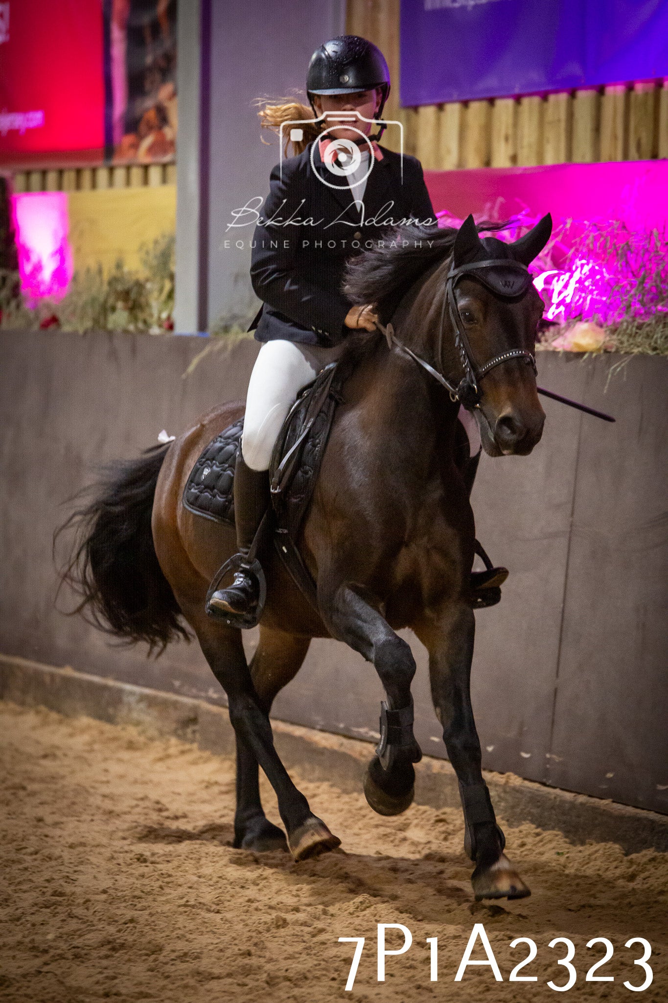 JHOYS 2025 - Show Jumping - 20th September pt1