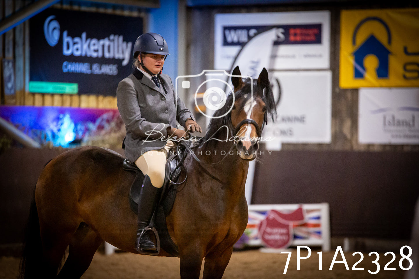 JHOYS 2025 - Ridden Showing - 28th September - pt2