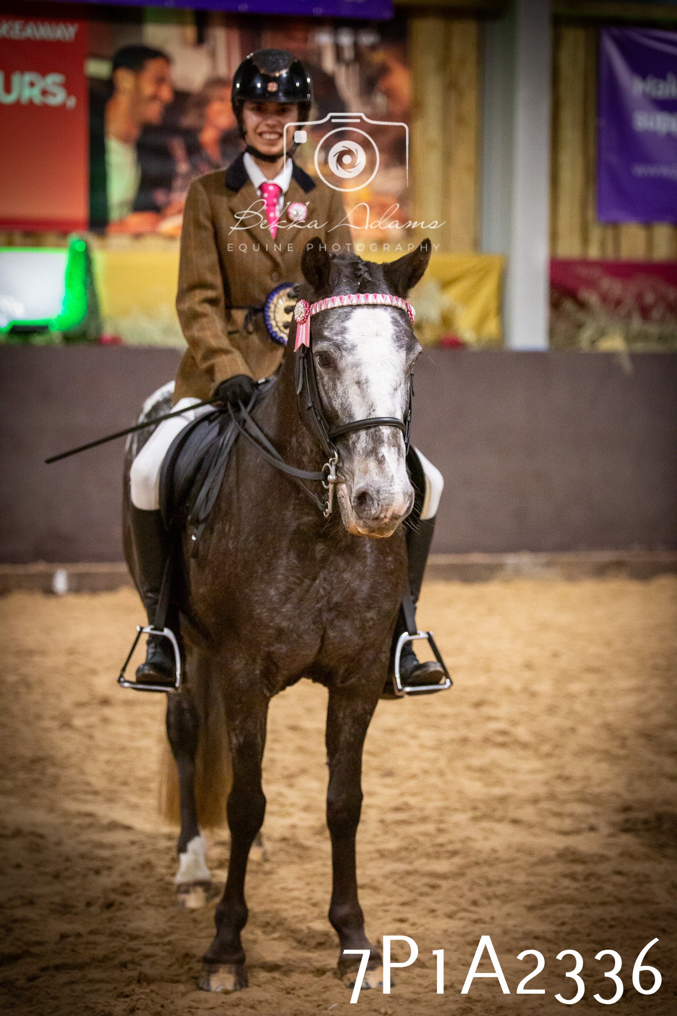 JHOYS 2025 - Ridden Showing - 28th September - pt2