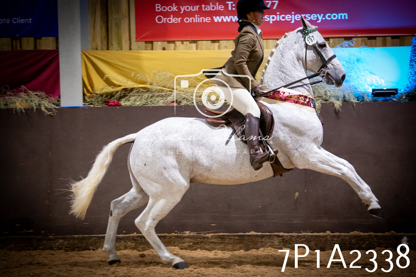 JHOYS 2025 - Ridden Showing - 28th September - pt2