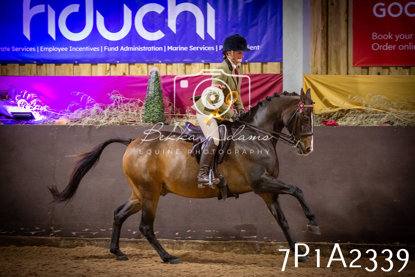 JHOYS 2025 - Ridden Showing - 28th September - pt2