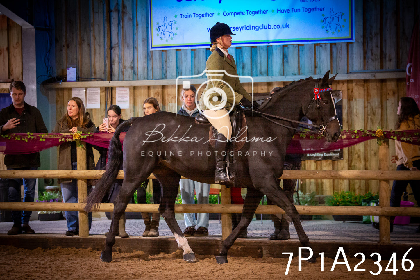 JHOYS 2025 - Ridden Showing - 28th September - pt2