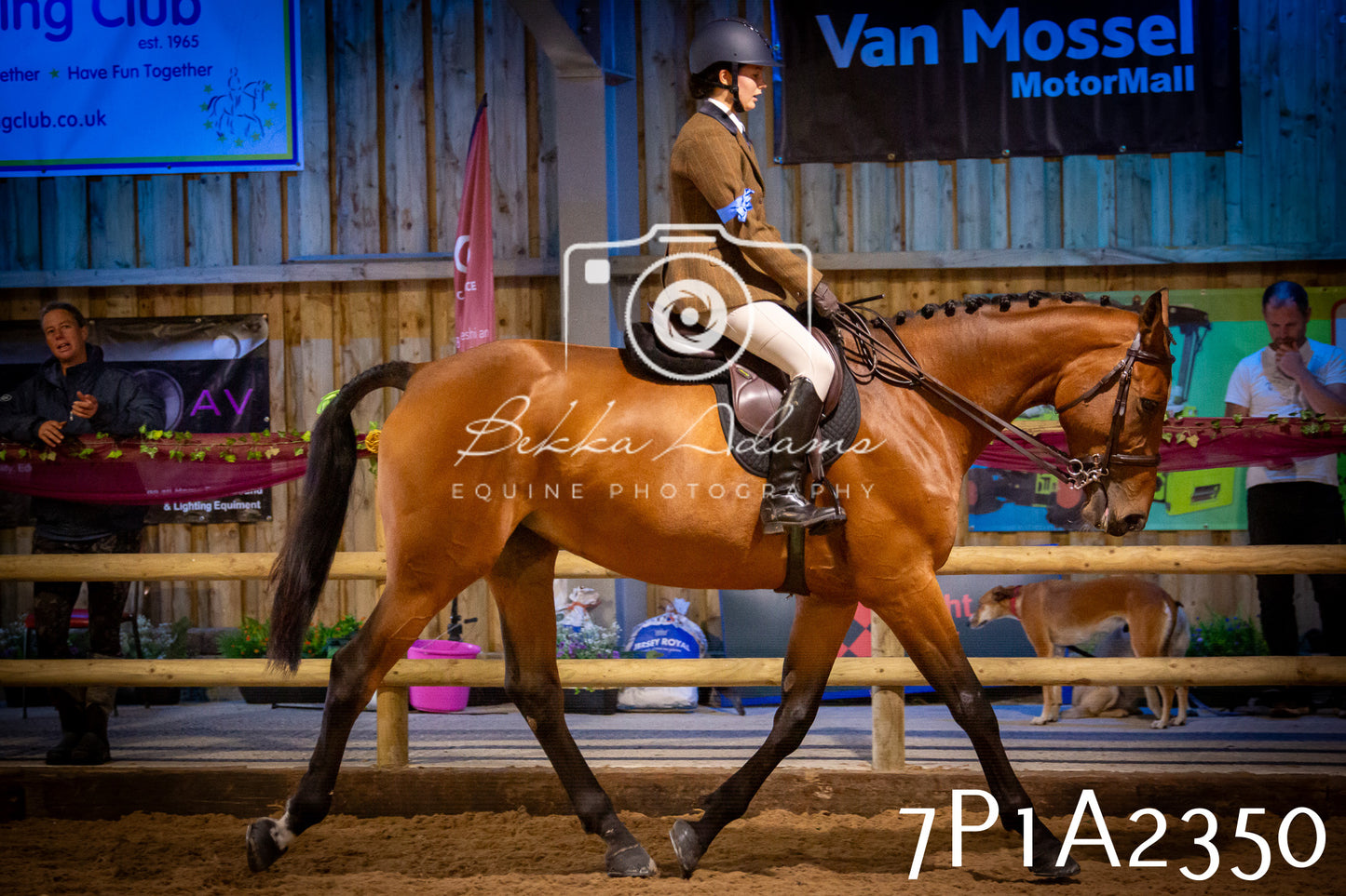 JHOYS 2025 - Ridden Showing - 28th September - pt2