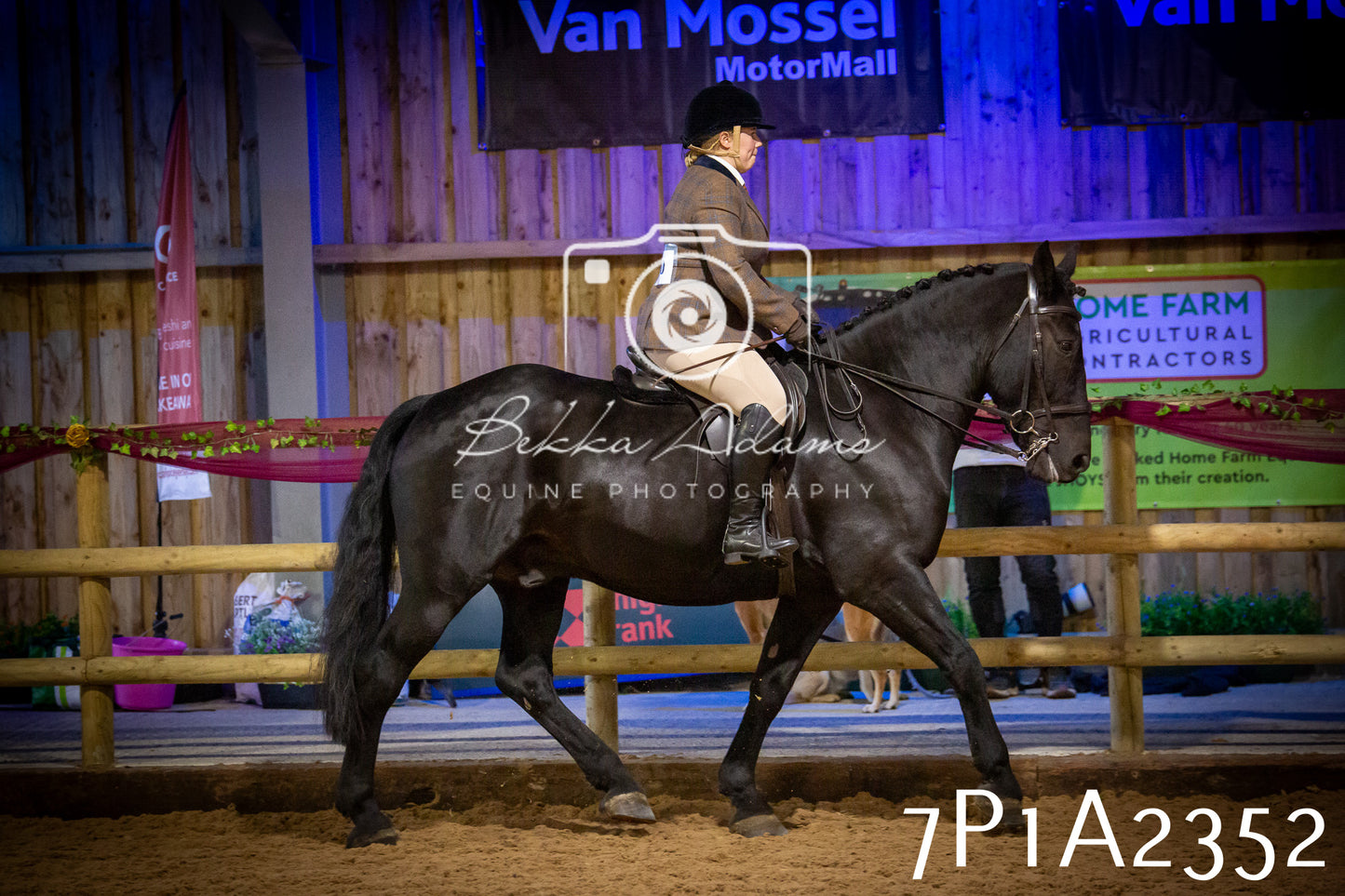 JHOYS 2025 - Ridden Showing - 28th September - pt2