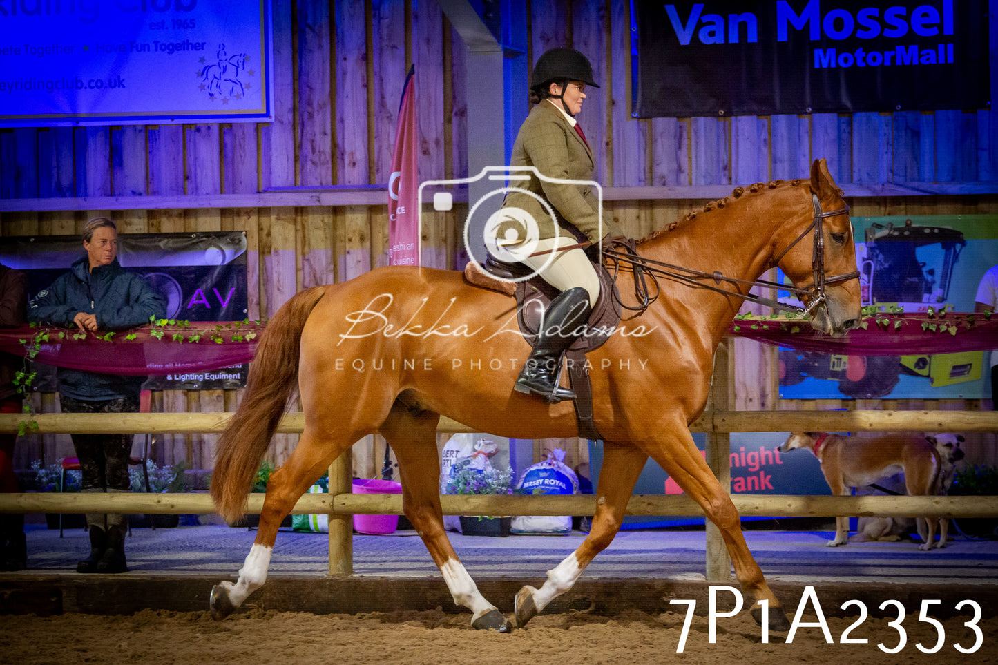 JHOYS 2025 - Ridden Showing - 28th September - pt2
