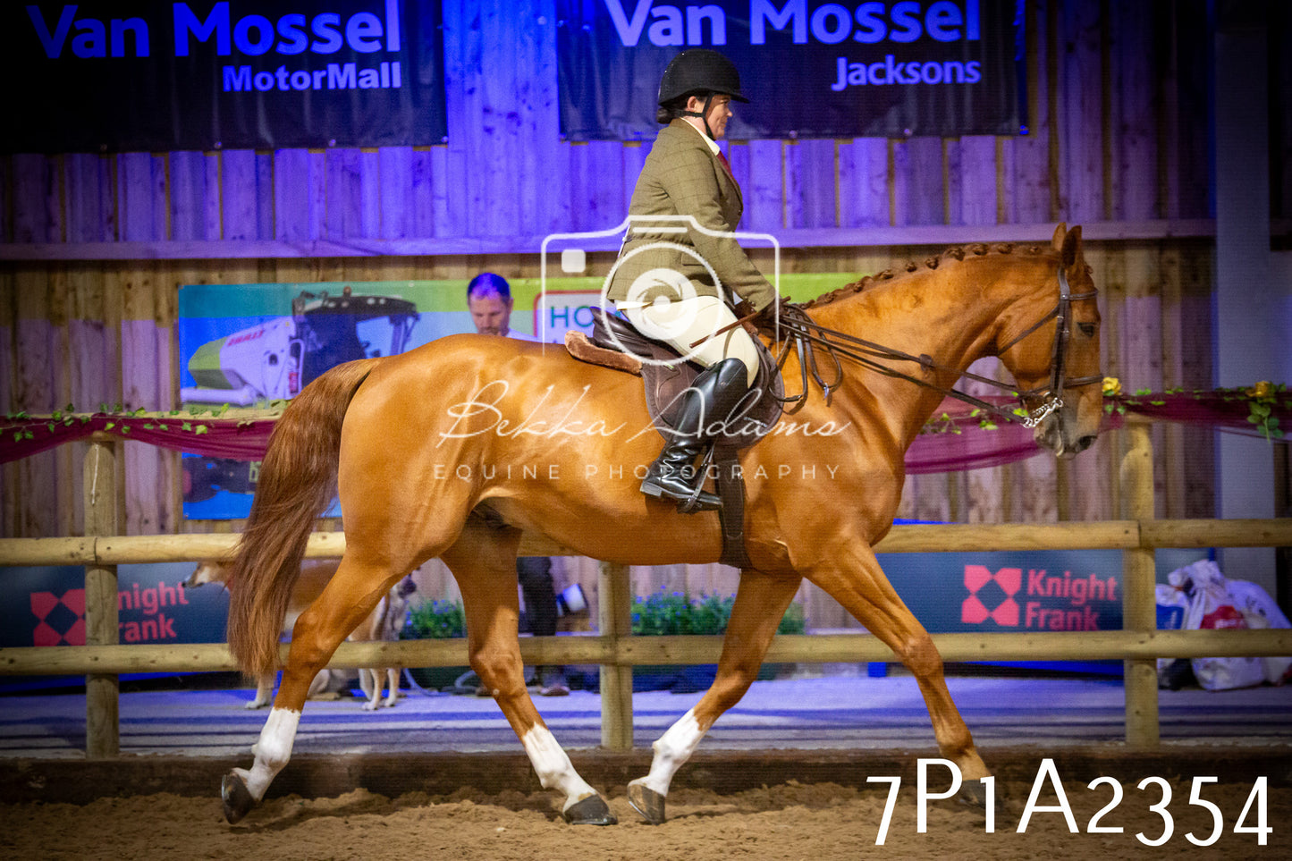 JHOYS 2025 - Ridden Showing - 28th September - pt2