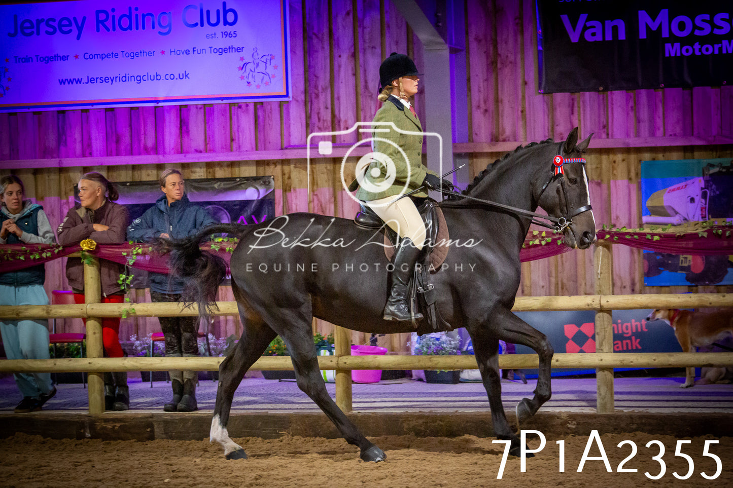 JHOYS 2025 - Ridden Showing - 28th September - pt2