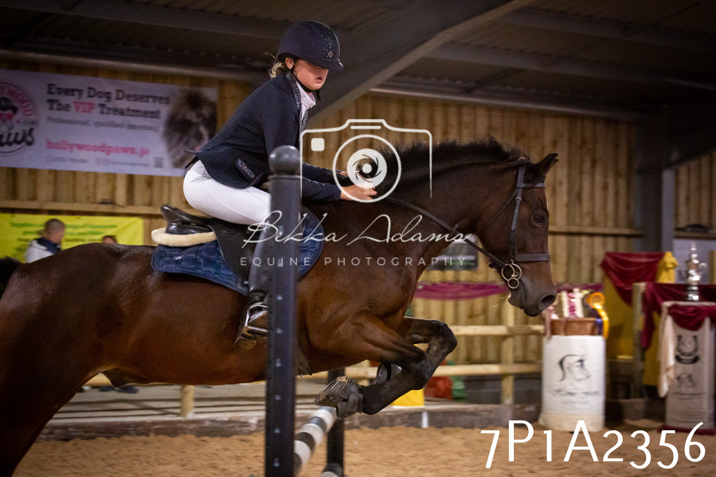 JHOYS 2025 - Show Jumping - 20th September pt1