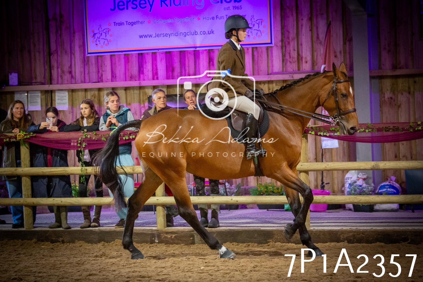 JHOYS 2025 - Ridden Showing - 28th September - pt2