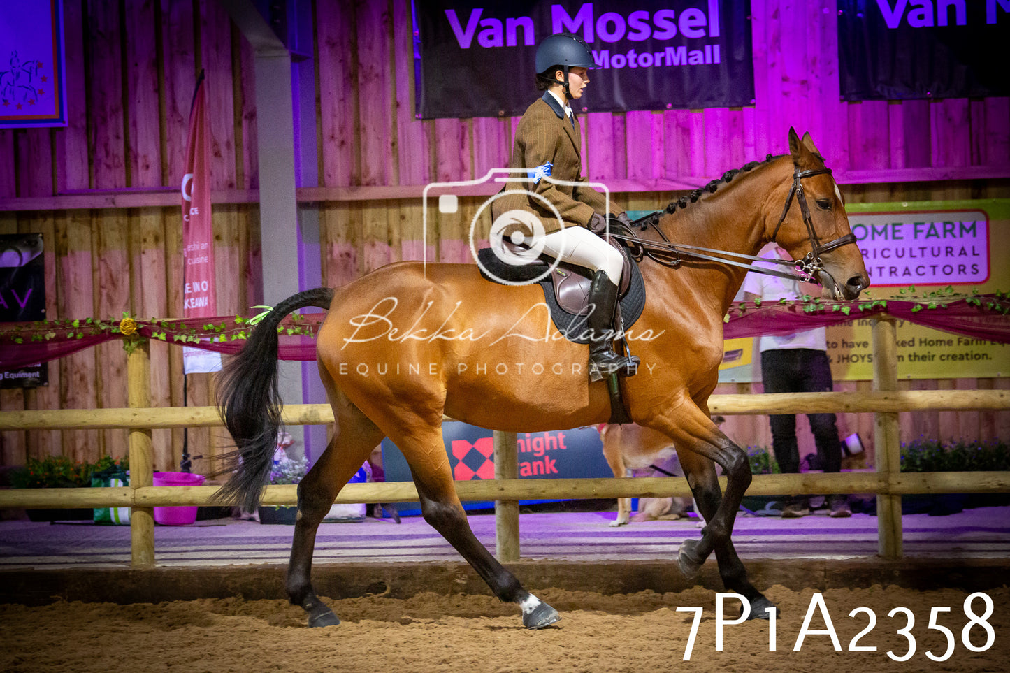 JHOYS 2025 - Ridden Showing - 28th September - pt2