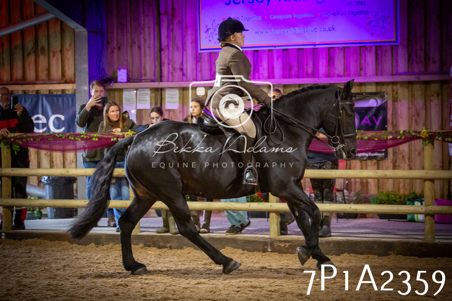 JHOYS 2025 - Ridden Showing - 28th September - pt2
