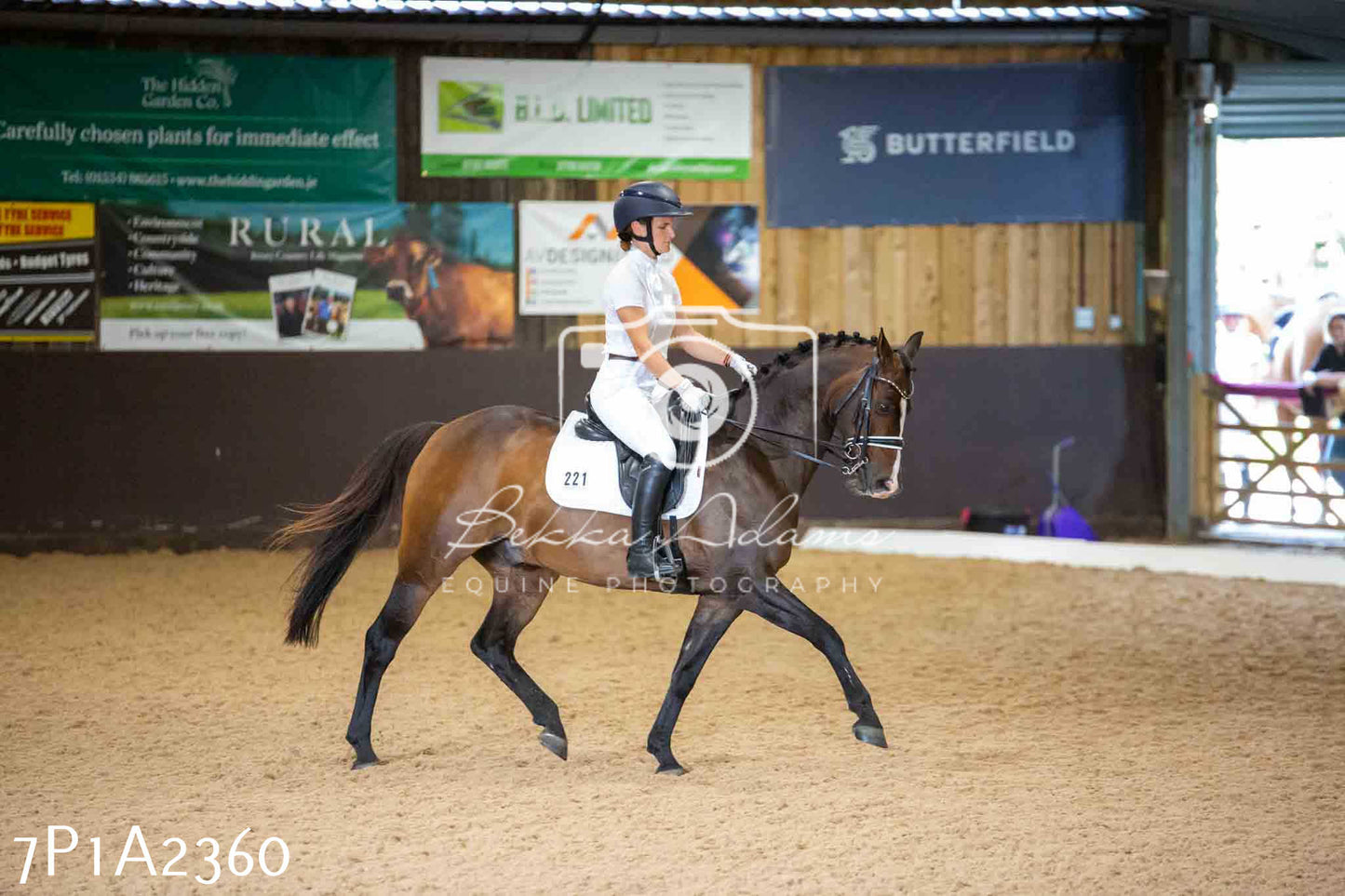 JHOYS 2023 - 6th September - Dressage