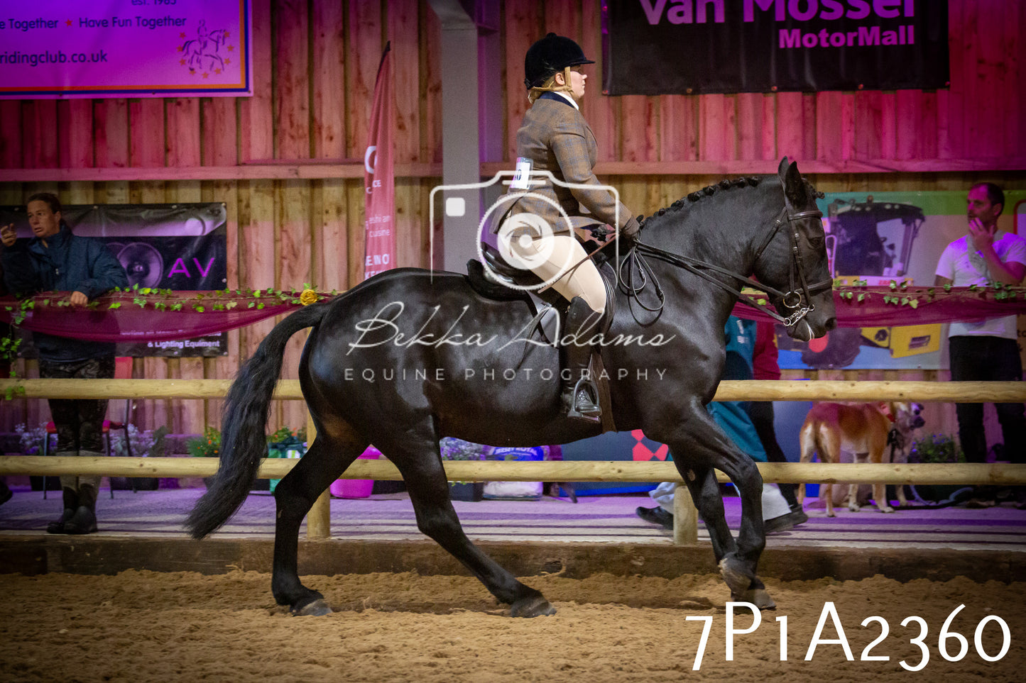 JHOYS 2025 - Ridden Showing - 28th September - pt2