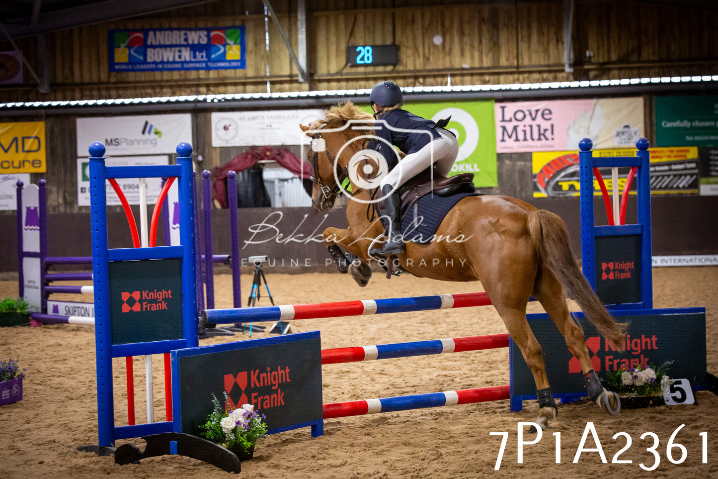 JHOYS 2025 - Show Jumping - 20th September pt1