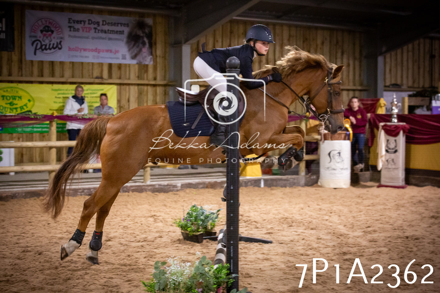JHOYS 2025 - Show Jumping - 20th September pt1