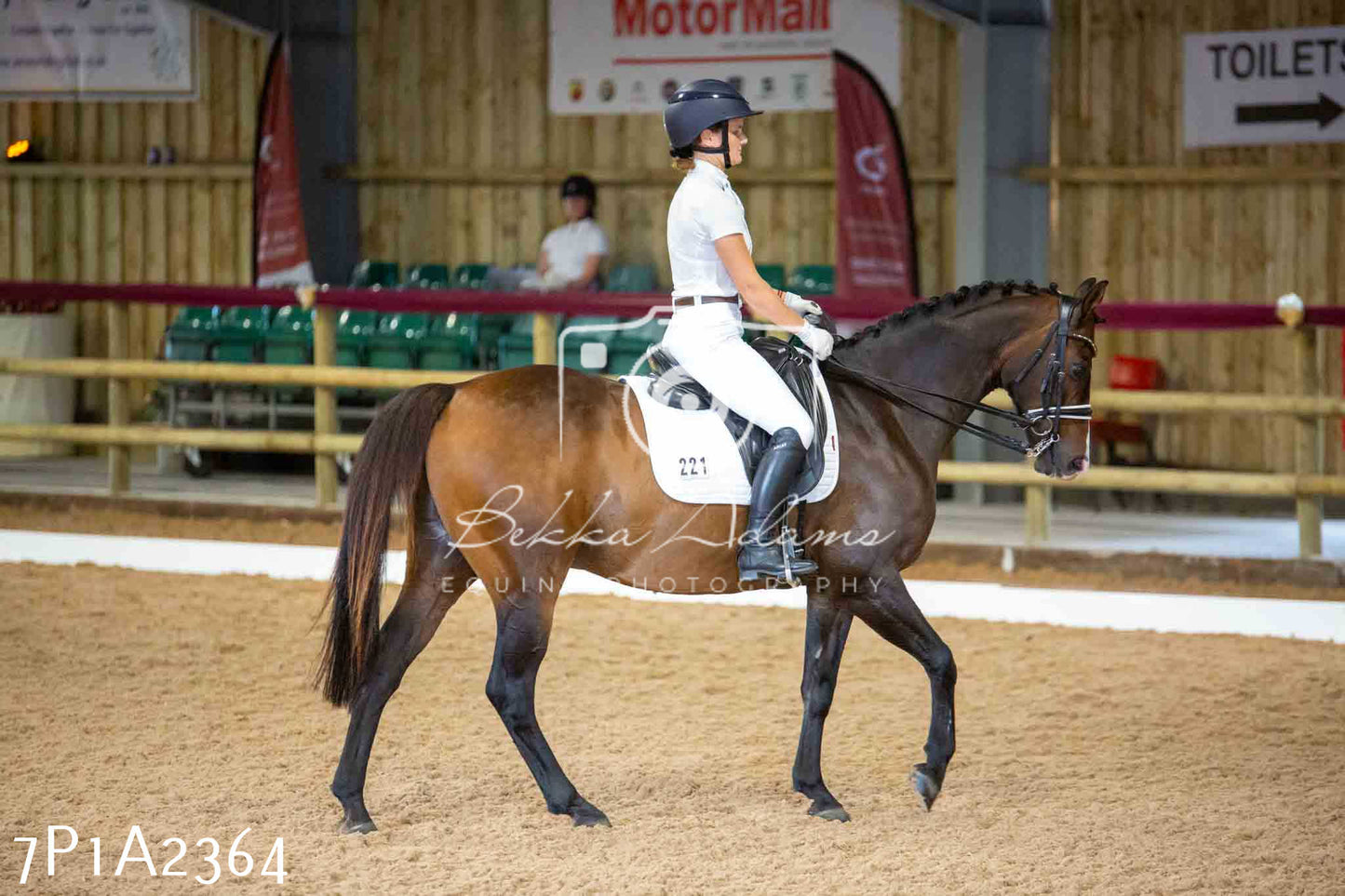 JHOYS 2023 - 6th September - Dressage