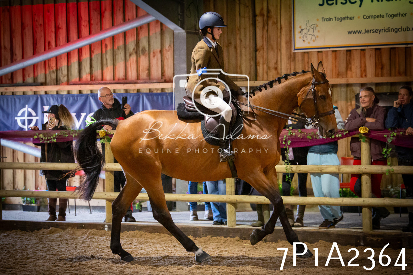 JHOYS 2025 - Ridden Showing - 28th September - pt2