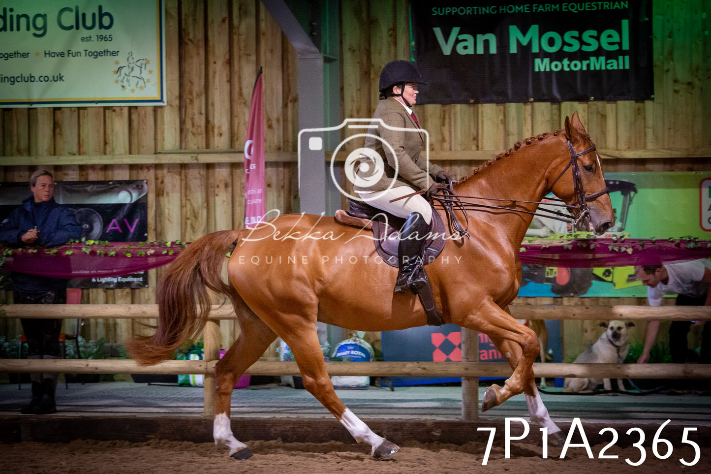 JHOYS 2025 - Ridden Showing - 28th September - pt2