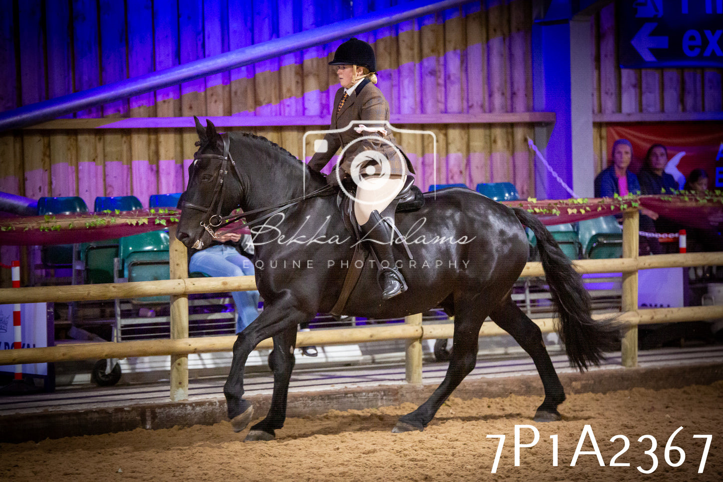 JHOYS 2025 - Ridden Showing - 28th September - pt2