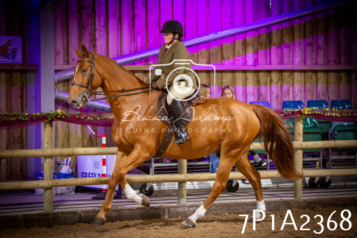 JHOYS 2025 - Ridden Showing - 28th September - pt2