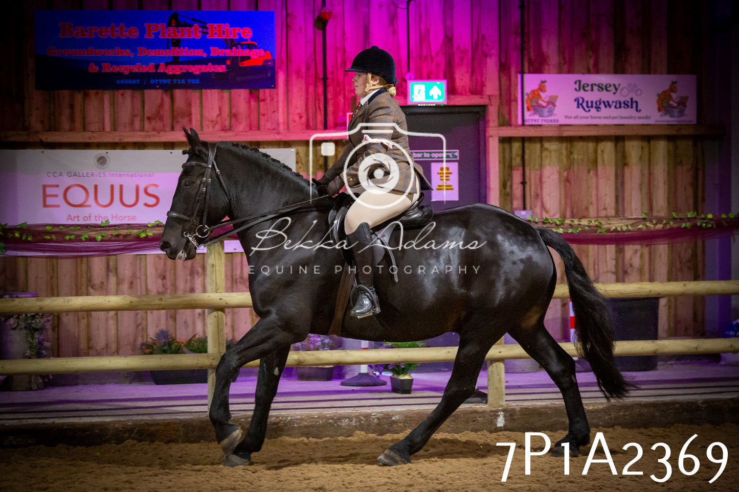 JHOYS 2025 - Ridden Showing - 28th September - pt2