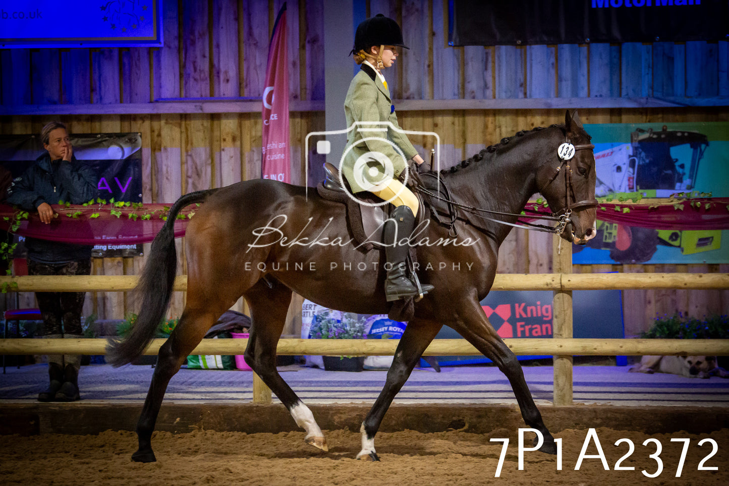 JHOYS 2025 - Ridden Showing - 28th September - pt2