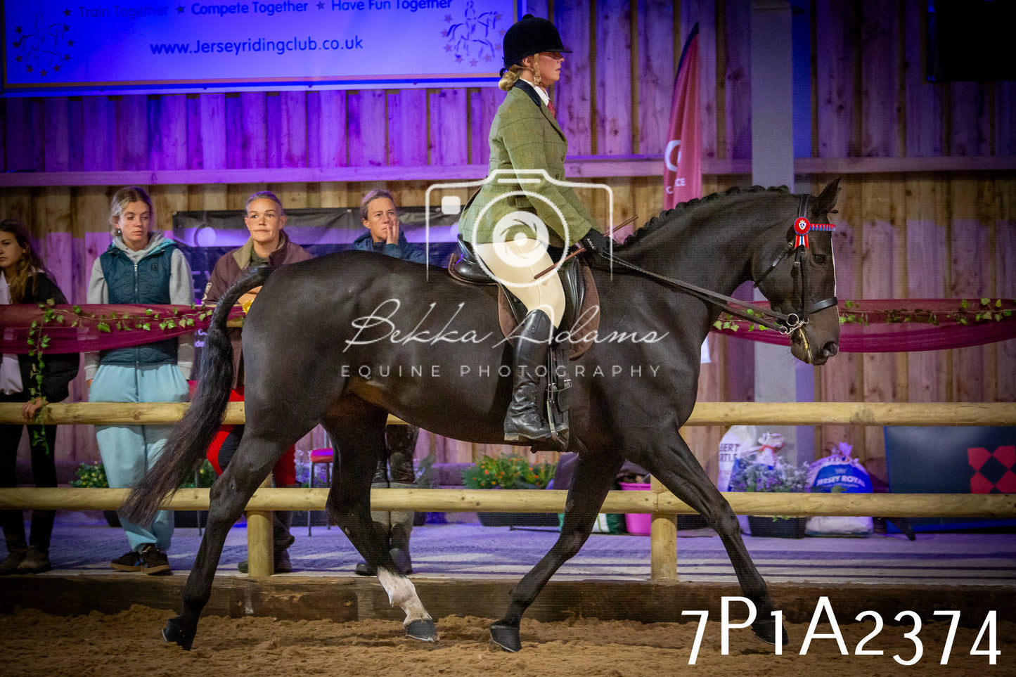 JHOYS 2025 - Ridden Showing - 28th September - pt2