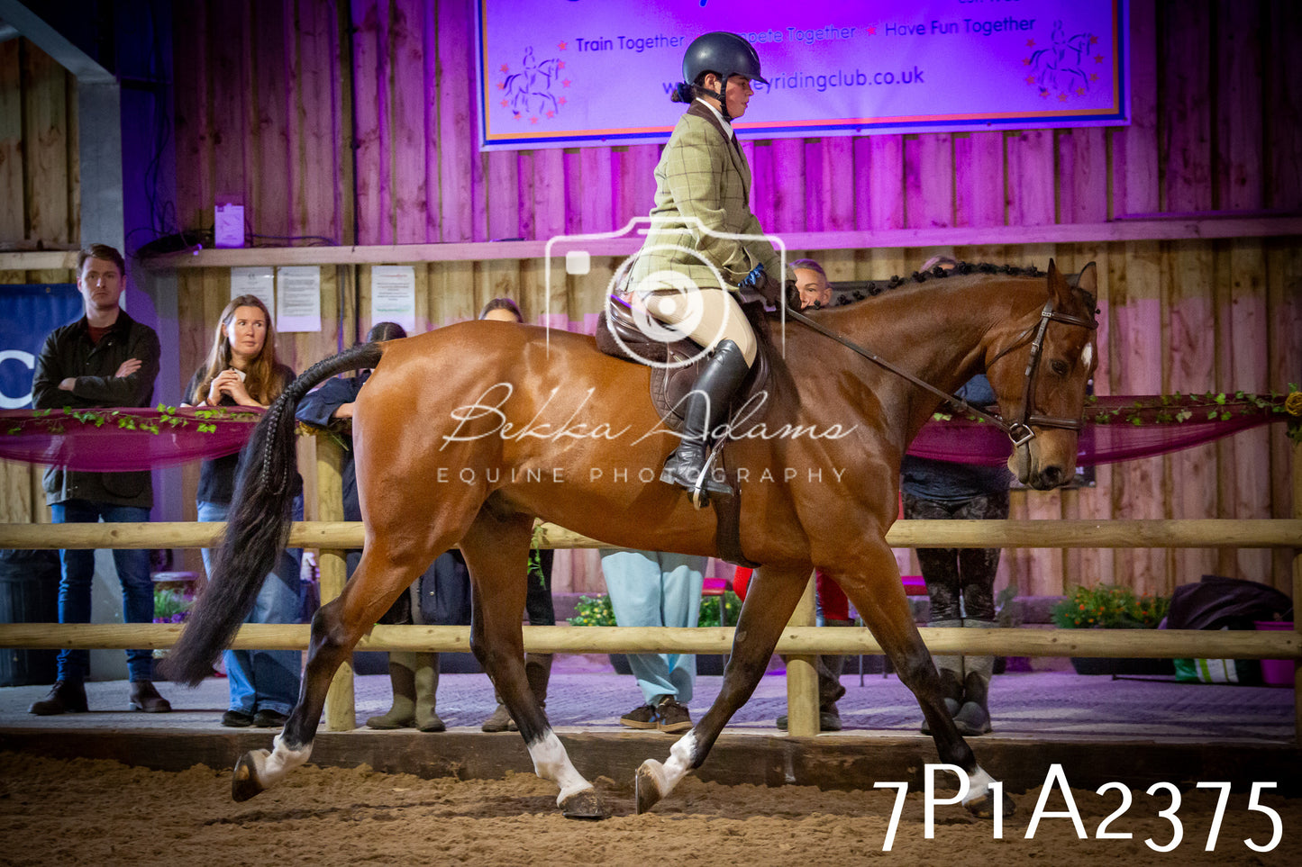 JHOYS 2025 - Ridden Showing - 28th September - pt2