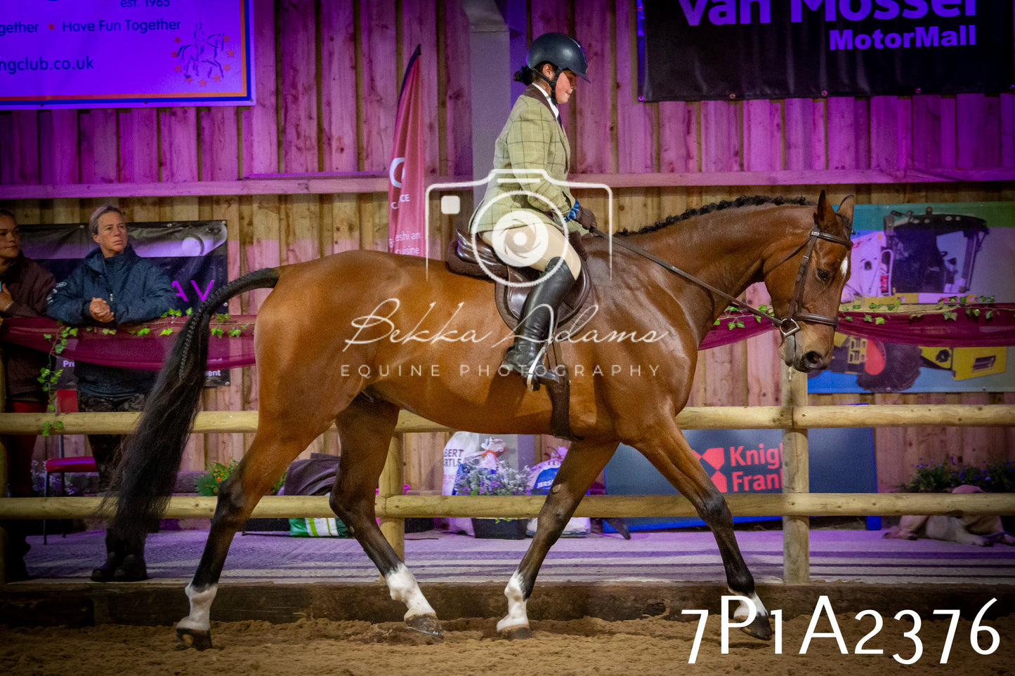 JHOYS 2025 - Ridden Showing - 28th September - pt2