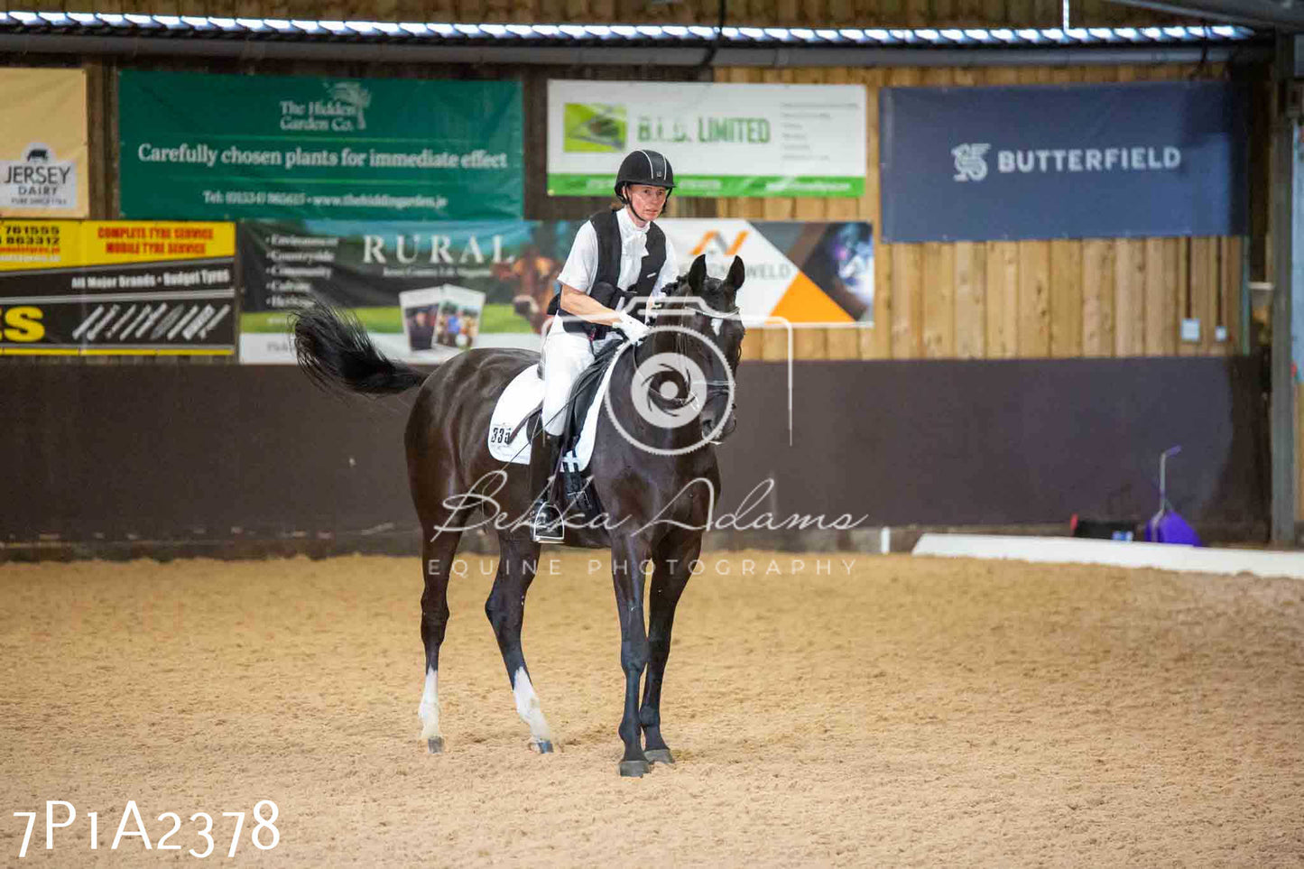 JHOYS 2023 - 6th September - Dressage