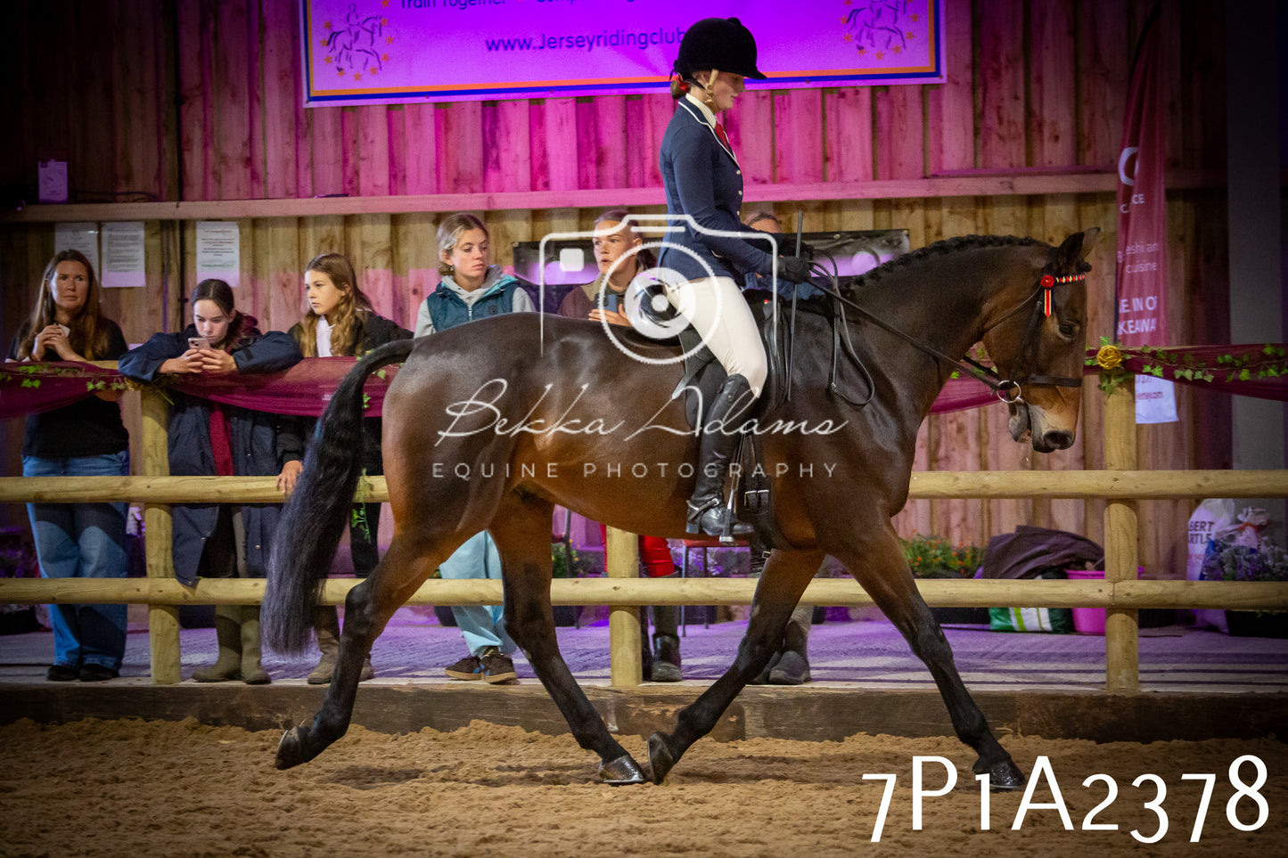 JHOYS 2025 - Ridden Showing - 28th September - pt2
