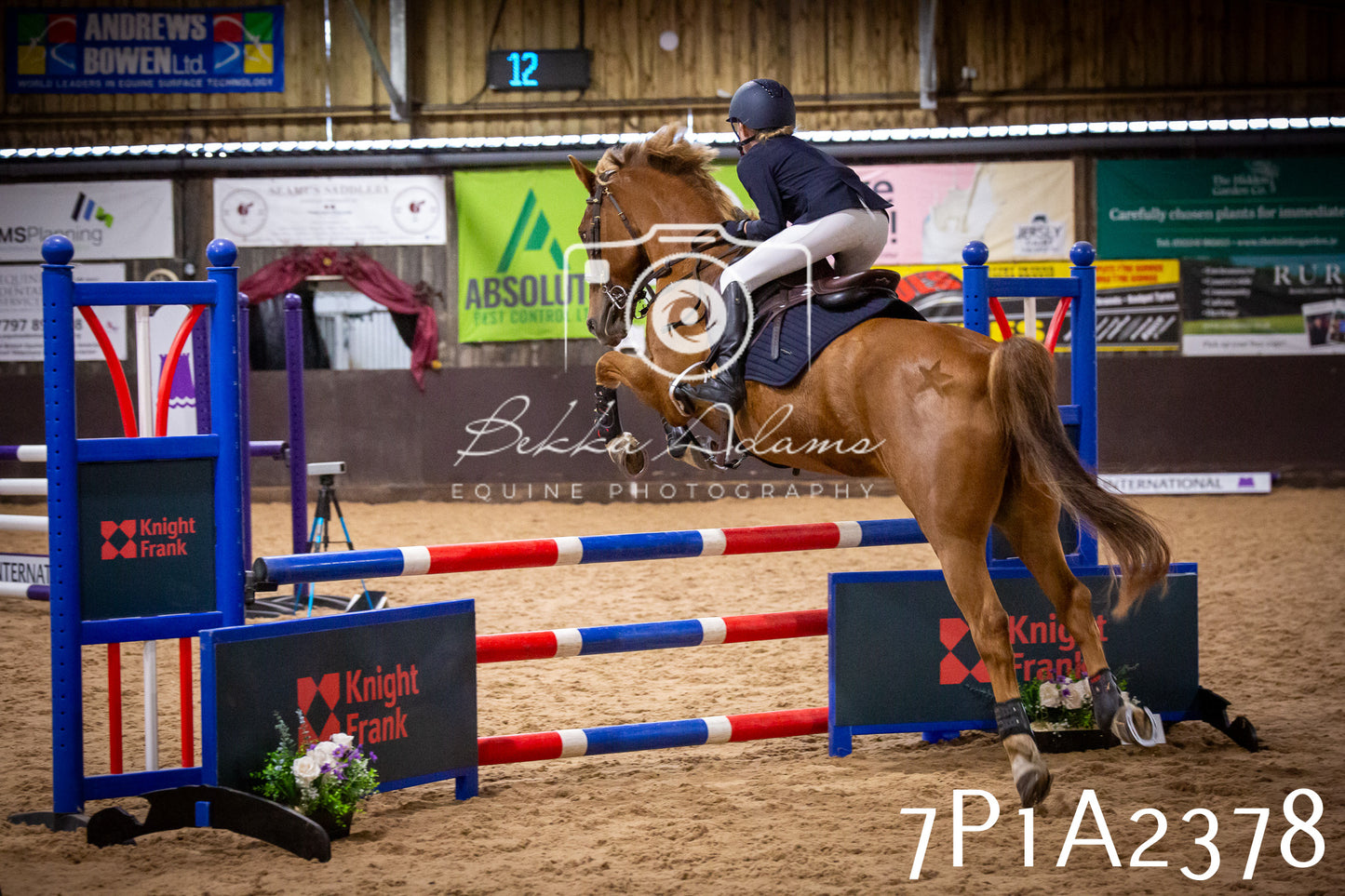 JHOYS 2025 - Show Jumping - 20th September pt1