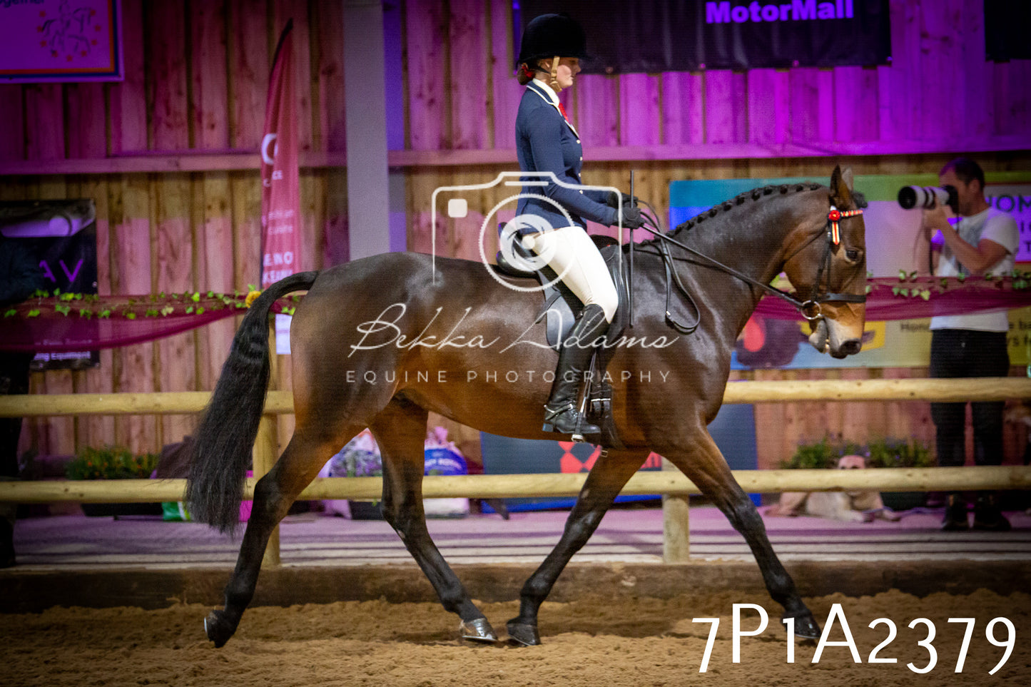 JHOYS 2025 - Ridden Showing - 28th September - pt2