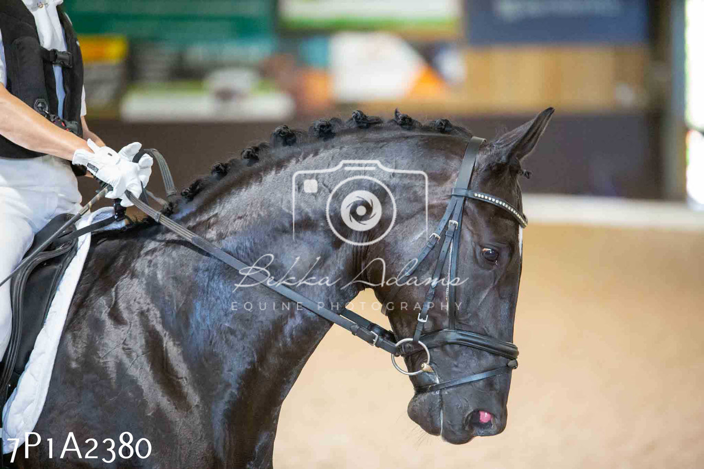 JHOYS 2023 - 6th September - Dressage