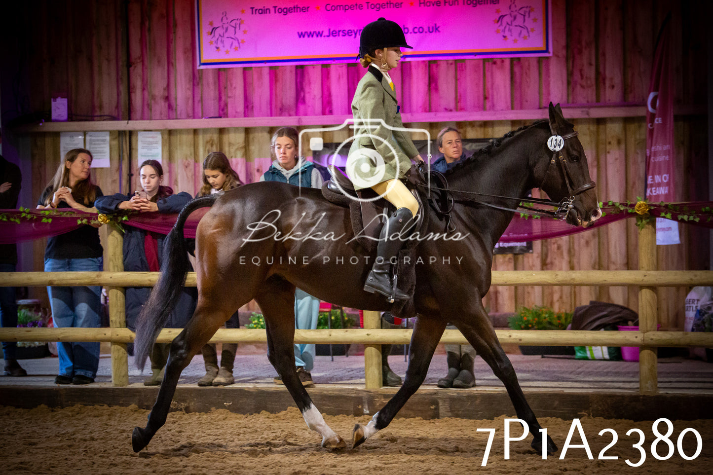 JHOYS 2025 - Ridden Showing - 28th September - pt2