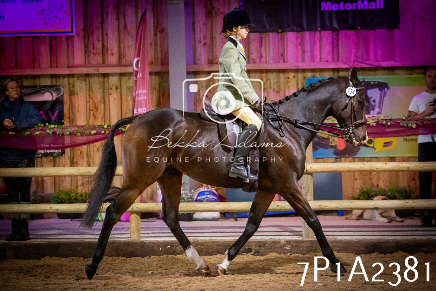 JHOYS 2025 - Ridden Showing - 28th September - pt2