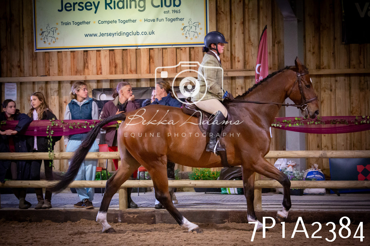 JHOYS 2025 - Ridden Showing - 28th September - pt2