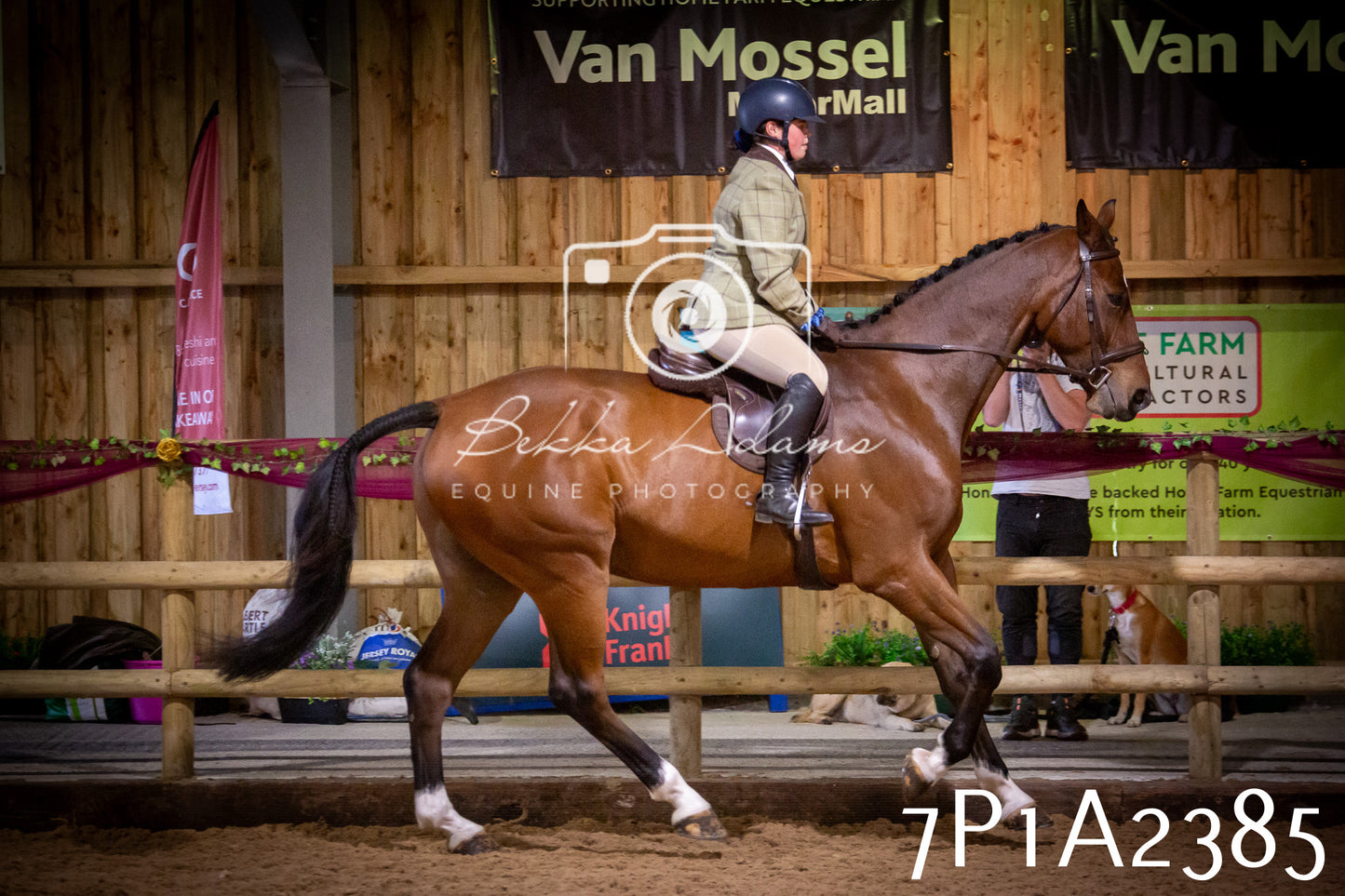JHOYS 2025 - Ridden Showing - 28th September - pt2