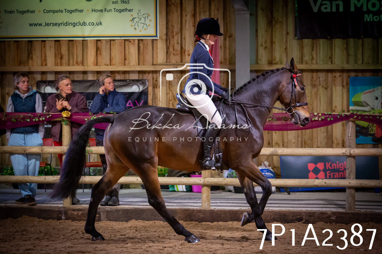 JHOYS 2025 - Ridden Showing - 28th September - pt2