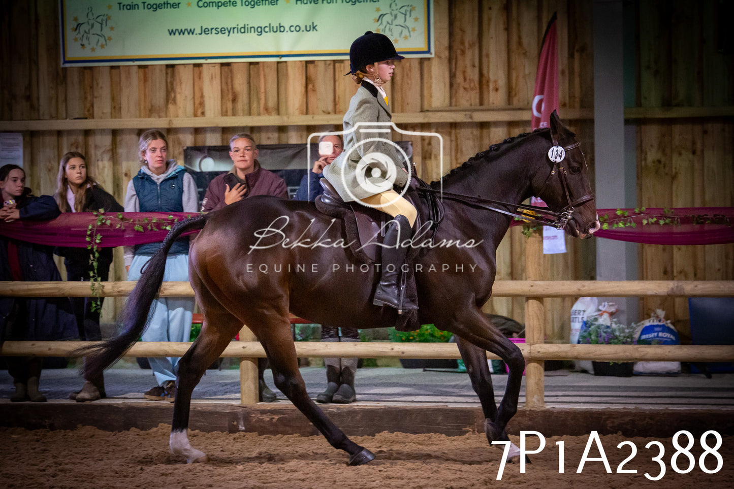 JHOYS 2025 - Ridden Showing - 28th September - pt2