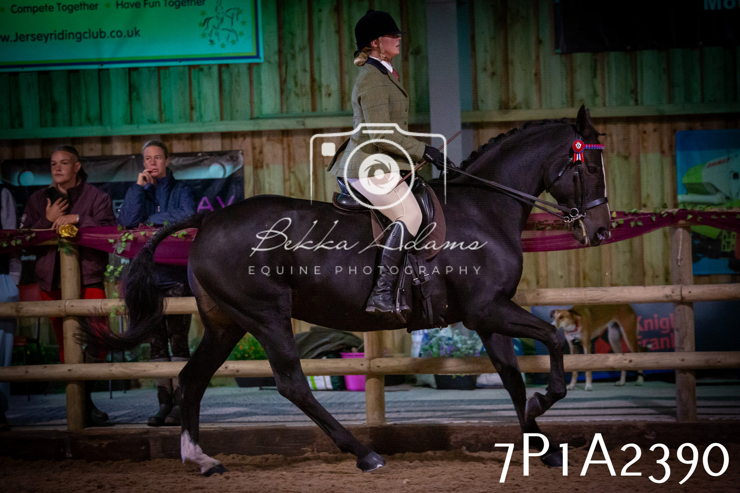 JHOYS 2025 - Ridden Showing - 28th September - pt2