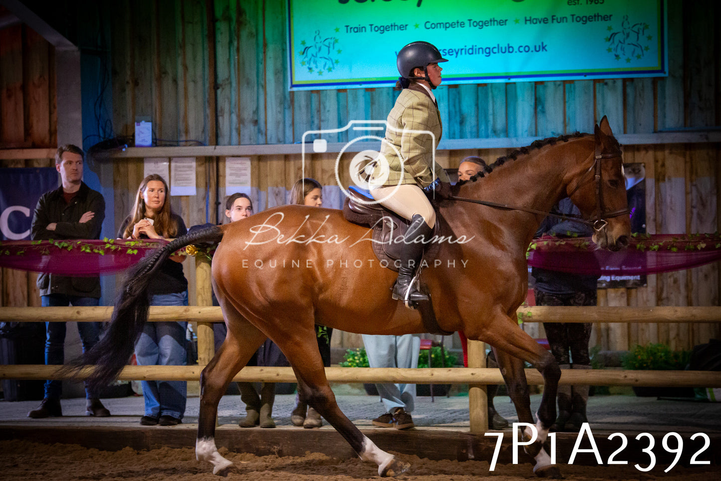 JHOYS 2025 - Ridden Showing - 28th September - pt2