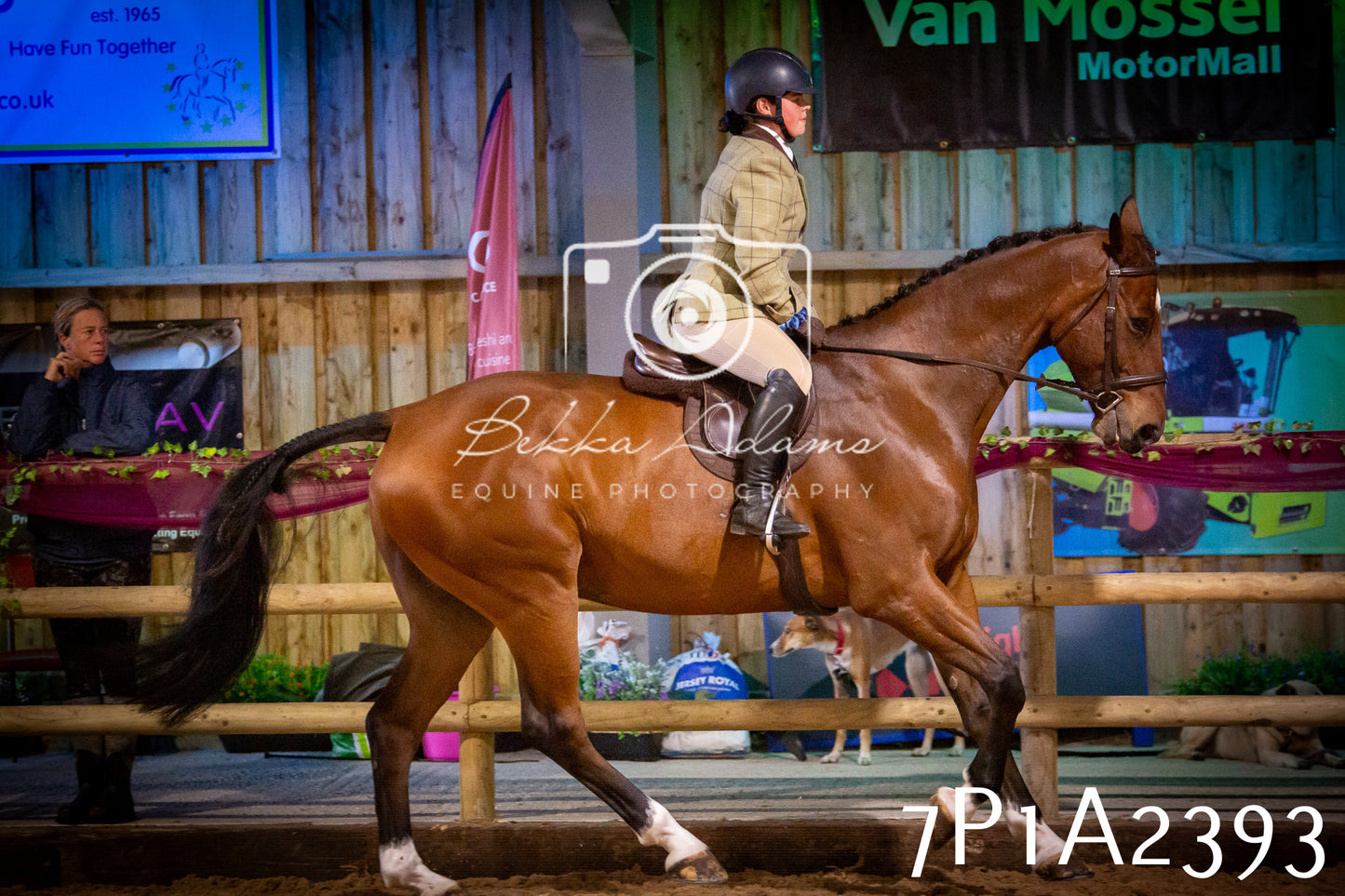 JHOYS 2025 - Ridden Showing - 28th September - pt2