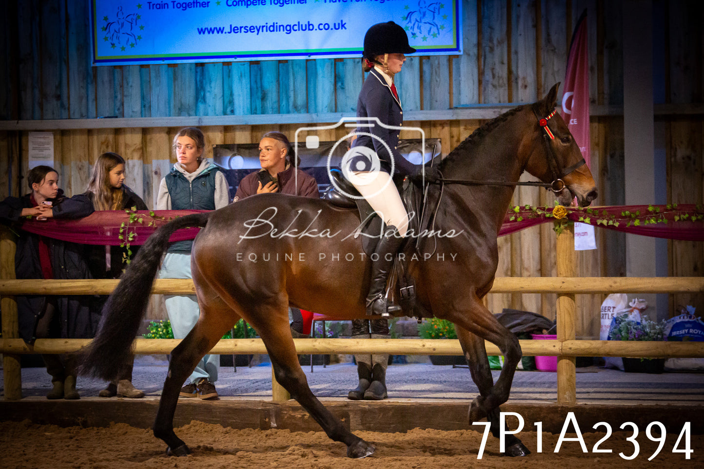 JHOYS 2025 - Ridden Showing - 28th September - pt2