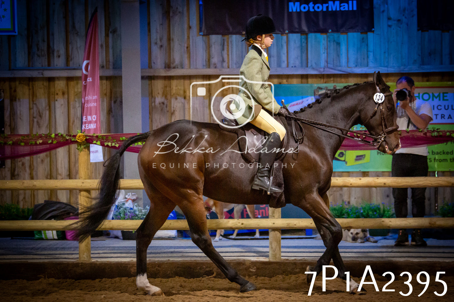 JHOYS 2025 - Ridden Showing - 28th September - pt2