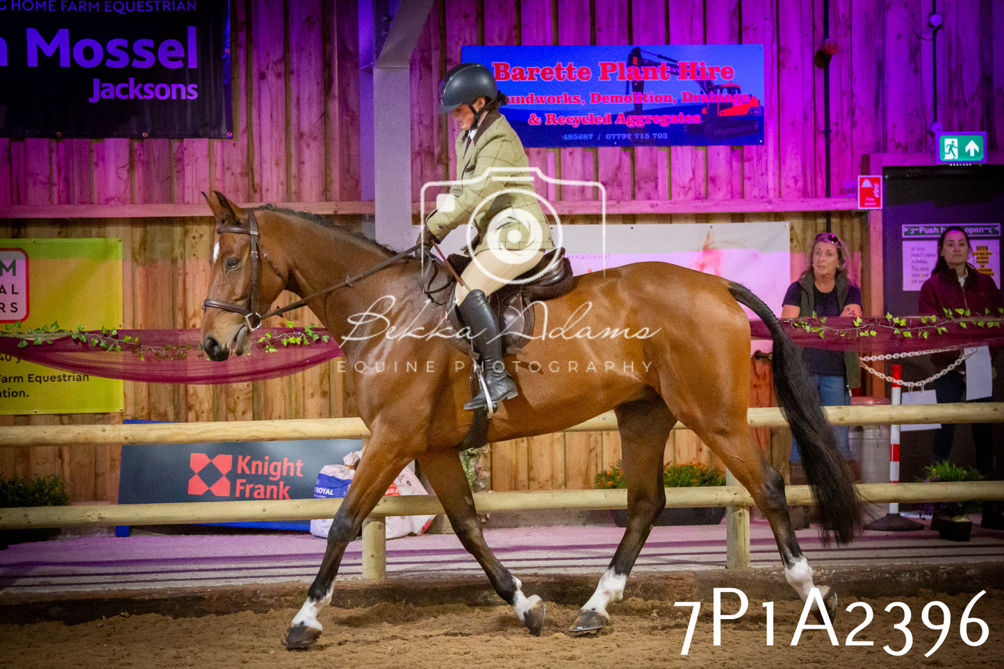 JHOYS 2025 - Ridden Showing - 28th September - pt2