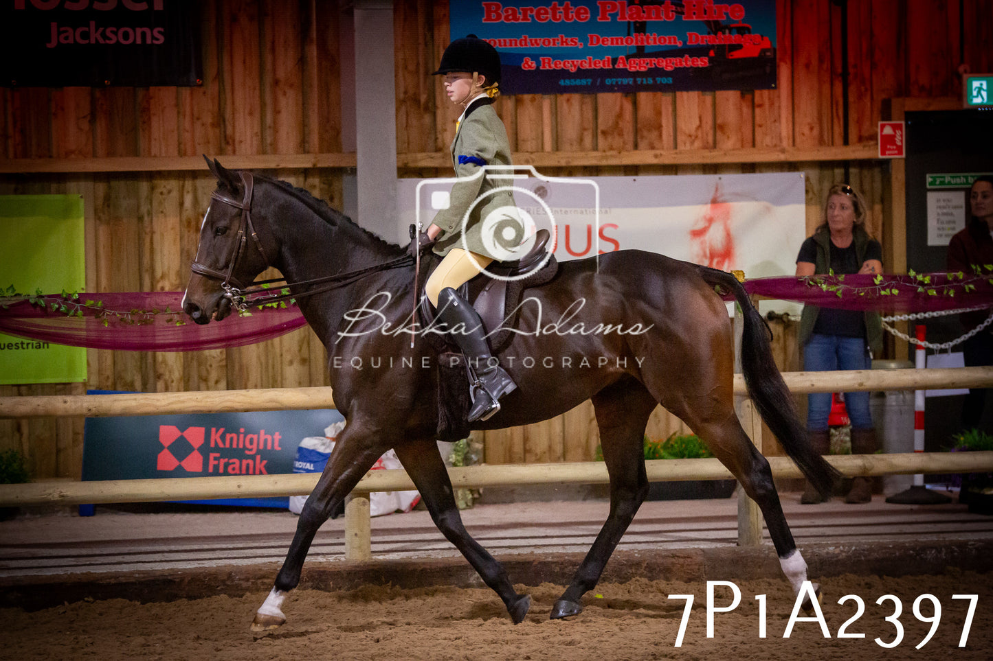 JHOYS 2025 - Ridden Showing - 28th September - pt2